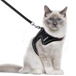 rabbitgoo Cat Harness and Leash for Walking, Escape-Proof No Choke Reflective Vest Harnesses for Small Cats.